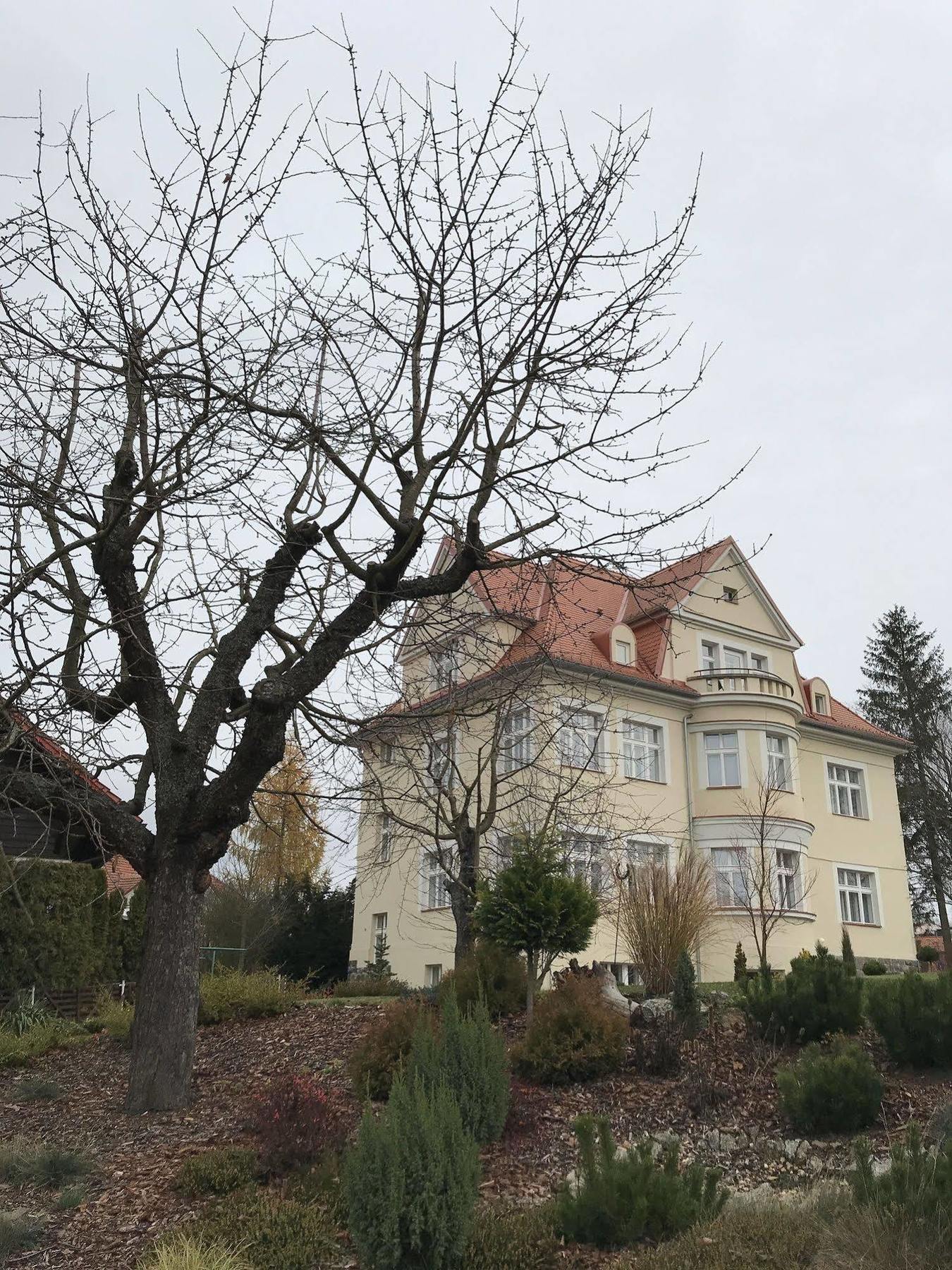 Boutique Hotel Villa Beatika Český Krumlov Eksteriør billede